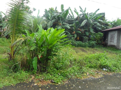 149 Sqm Residential Land/lot For Sale