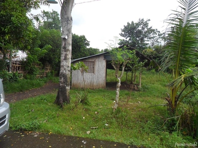 239 Sqm Residential Land/lot For Sale