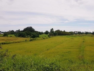 300 sqm Lot Property For Sale in Narra, Palawan