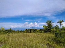 Overlooking Seaview Lot in Pasil, Santander, Cebu!!