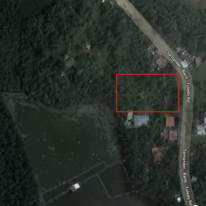 Lot For Sale In Bugas, Badian