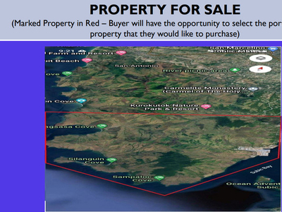 Lot For Sale In Cawag, Subic