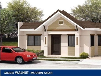 For Sale: Walnut House with Roof-Deck at Southwind in San Pedro City, Laguna