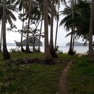 3,700 square meters island beach lot for sale in el nido, palawan