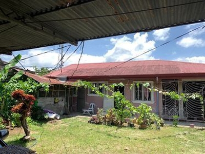 House For Sale In Masiit, Calauan