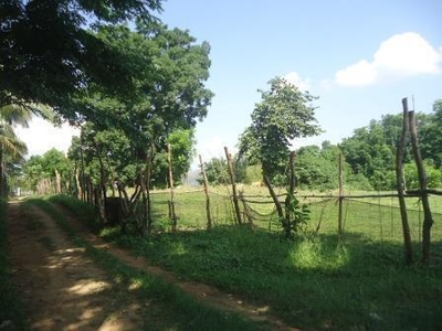 Lot For Sale In Palina, Pugo