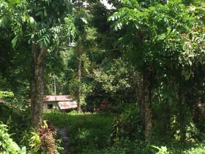 Lot For Sale In Palola, Lucban
