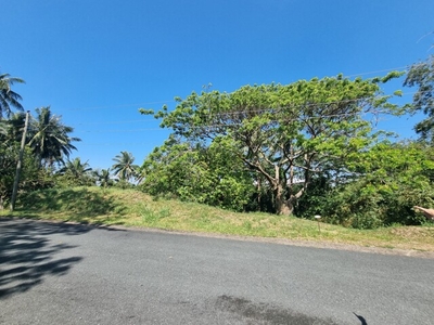 Lot For Sale In Payapa Ibaba, Lemery