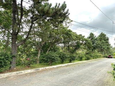 Lot For Sale In Pulong Bunga, Silang