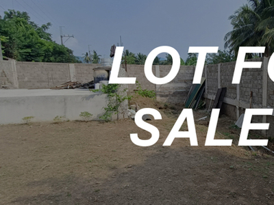 Lot For Sale In Sabang, Magdalena