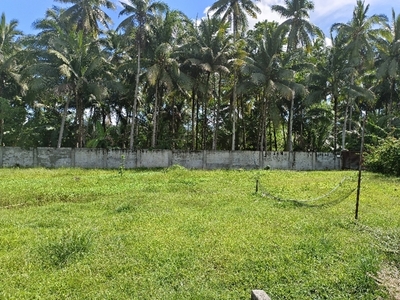 Lot For Sale In San Vicente, Panabo