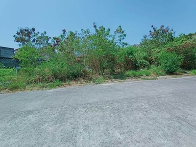 Lot For Sale In Talon Tres, Las Pinas