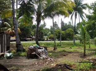 28,062 Sqm Residential Land/lot For Sale In Dapitan City