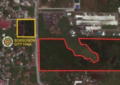 8 hectares commercial lot near SM City, Sorsogon