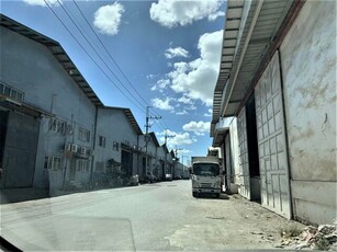 Bonga Mayor, Bustos, House For Rent