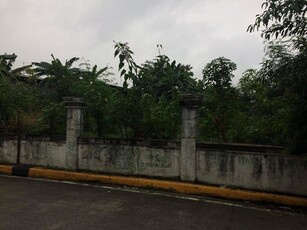 San Isidro, Paranaque, Lot For Sale