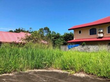 224sqm Lot in Town And Country Talisay
