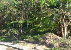 311 Sqm Residential Land/lot For Sale