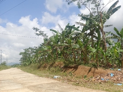 Farm Lot For Sale Good For Rest House and Farming, Davao City