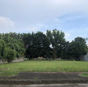 Lot For Sale In Pulung Cacutud, Angeles