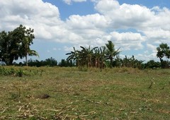 agricultural lot for sale in pasig