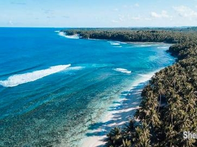 Hawaii lots in Surigao 120-2000 sqm rent or sale beach