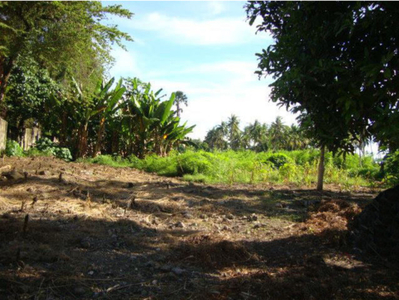Lot For Sale In Linao, Talisay