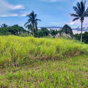 Lot For Sale In Minantok Silangan, Amadeo