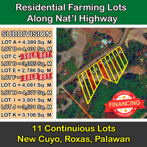 Lot For Sale In New Cuyo, Roxas