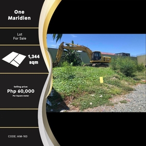 Lot For Sale In San Isidro, Paranaque