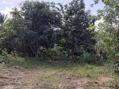Lot For Sale In Ulat, Silang