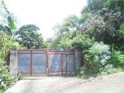 Raw House and Lot in Binangonan! For Sale Philippines