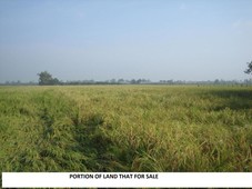 ONE HECTARE OF FARM LOT For Sale Philippines