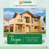 HOUSE AND LOT IN CABANATUAN