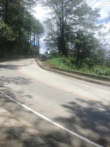 5300 sq. meters Commercial Lot for Sale in Outlook Drive, Baguio City