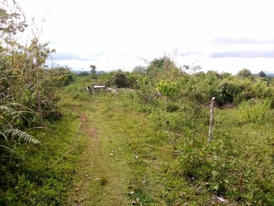 14-hectares Farm Lot for sale in Salucot, Talakag, Bukidnon