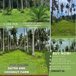 Beautiful 1,000 sqm Farm Lot for Sale in Cabay, Tiaong, Quezon Province