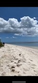 3,900sqm beachfront in san juan siquijor; remaining big property in the most popular town