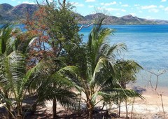 Coron spectacular beachfront property 1 hectare, 30 min from Coron town