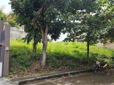 Lot For Sale in Sta. Lucia Royale Cebu Estates, Consolacion