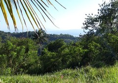 Vacant Lot 32,200 sqm Unoccupied Tagaytay City