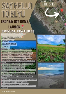 Lot For Sale in Baybay, Santo Tomas, La Union