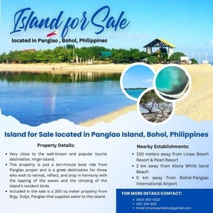 9,599 sq.m Island for Sale located in Panglao Island, Bohol, Philippines