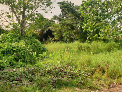 Lot For Sale In Taculing, Bacolod