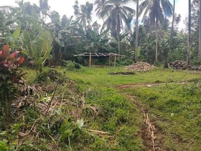 Lot For Sale In Toril, Davao