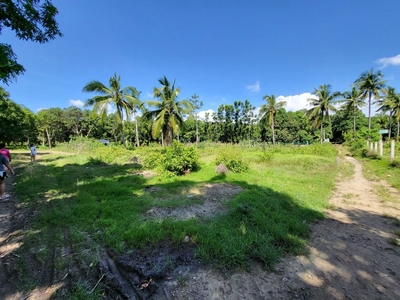 2,373 sqm Residential Lot for Sale!!! Property investment!!! San Juan, Batangas