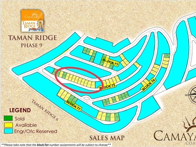 For Sale 206 sqm Residential Lot in Sky Town Forest, Bagac, Bataan