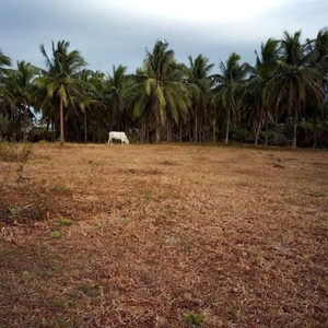 Farm Lot For Sale in Balanga, Bataan