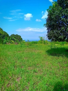 10,000 sqm Titled Farm Lot For Sale at Iba, Zambales with overlooking view