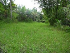Land For Sale At US$5.9 per sq.m For Sale Philippines